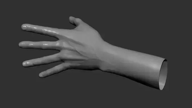 Hand model and sculpt 3D model