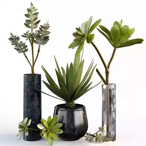 Plants collection 08 3D model