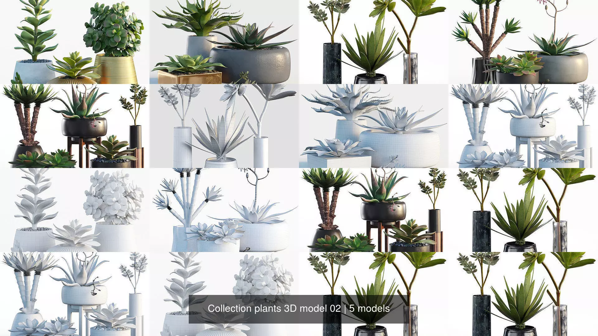 Collection plants 3D model 02 _0