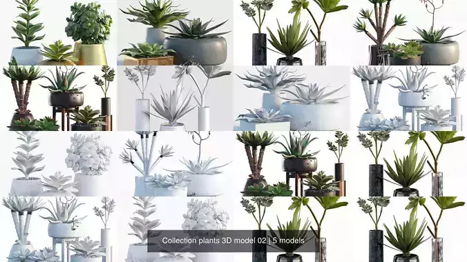 Collection plants 3D model 02
