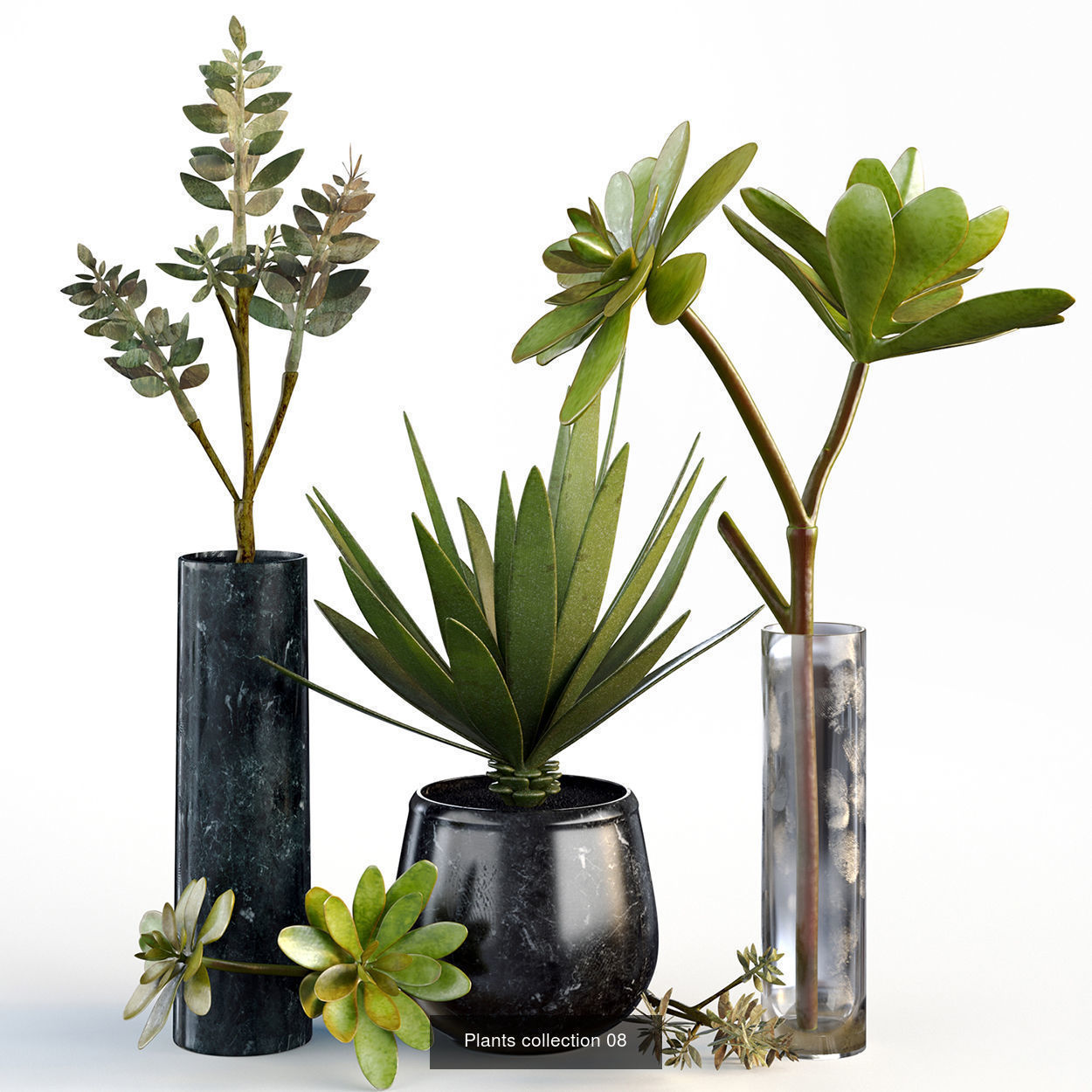 Collection plants 3D model 02 _3