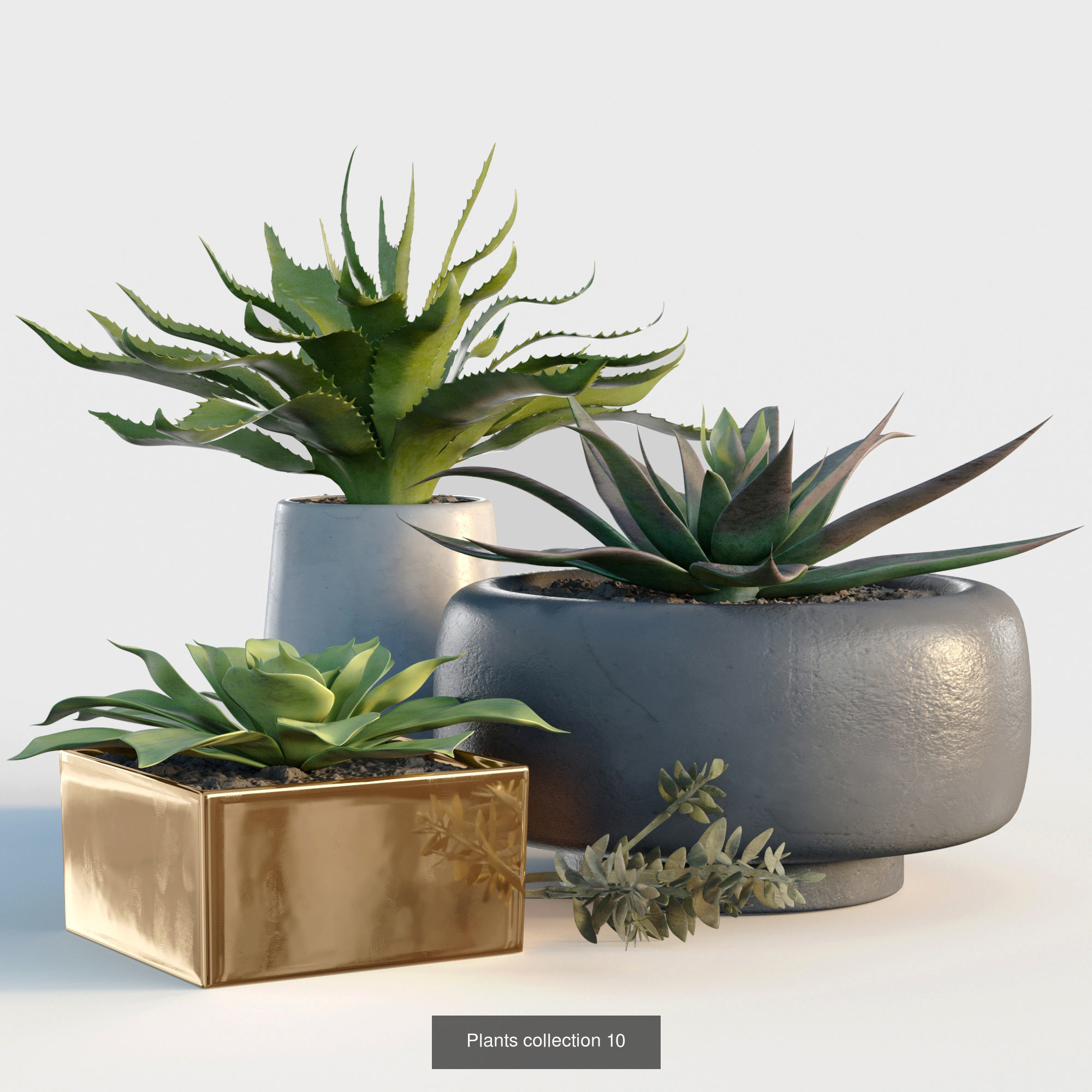 Collection plants 3D model 02 _2