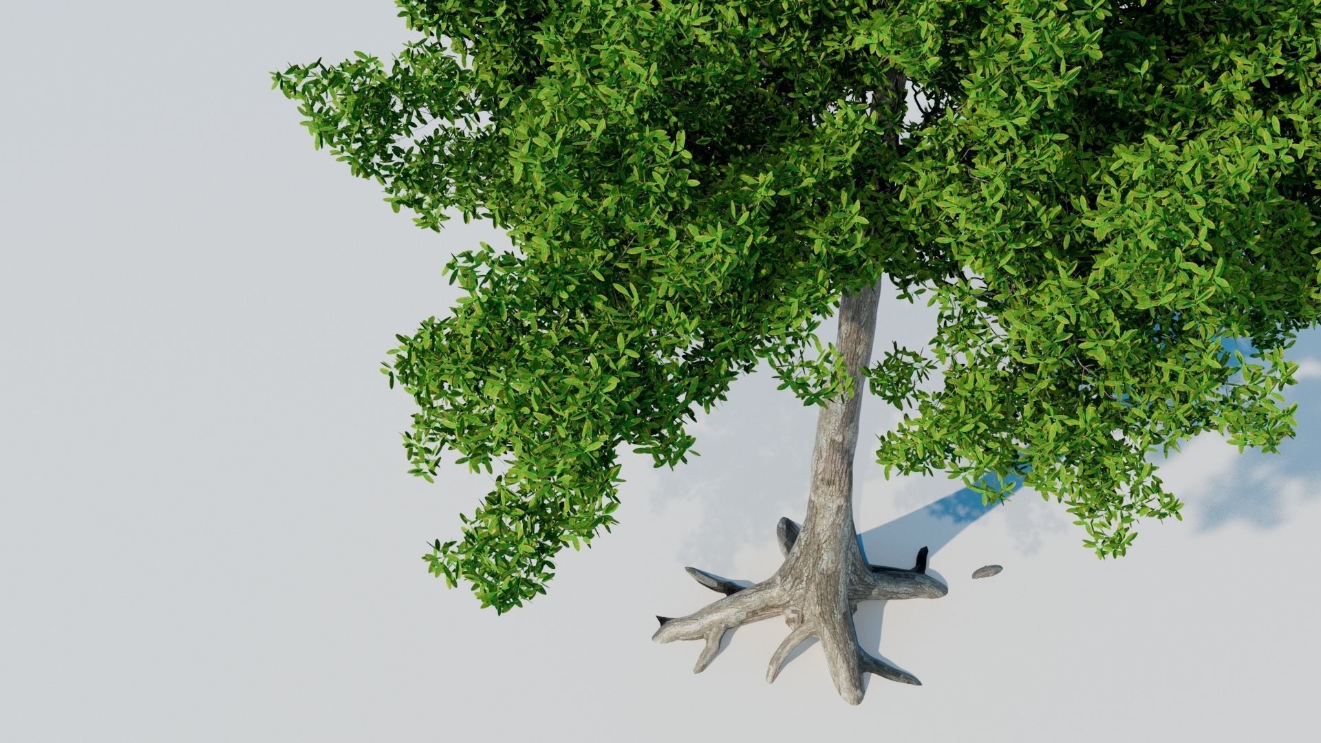 Tree 3D model Low-poly 3D model_2