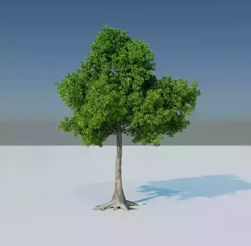 Tree 3D model Low-poly 3D model