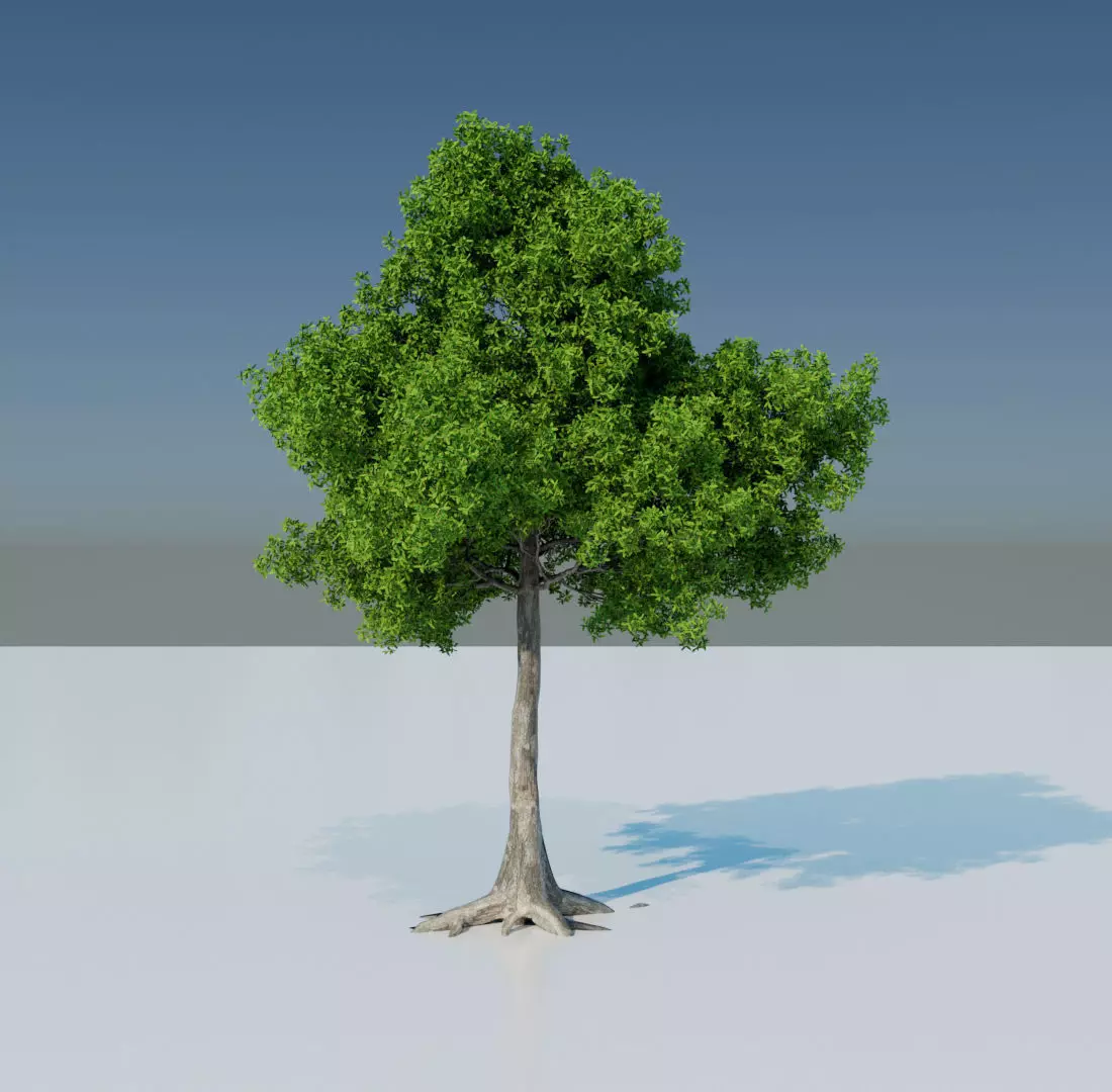 Tree 3D model Low-poly 3D model_0