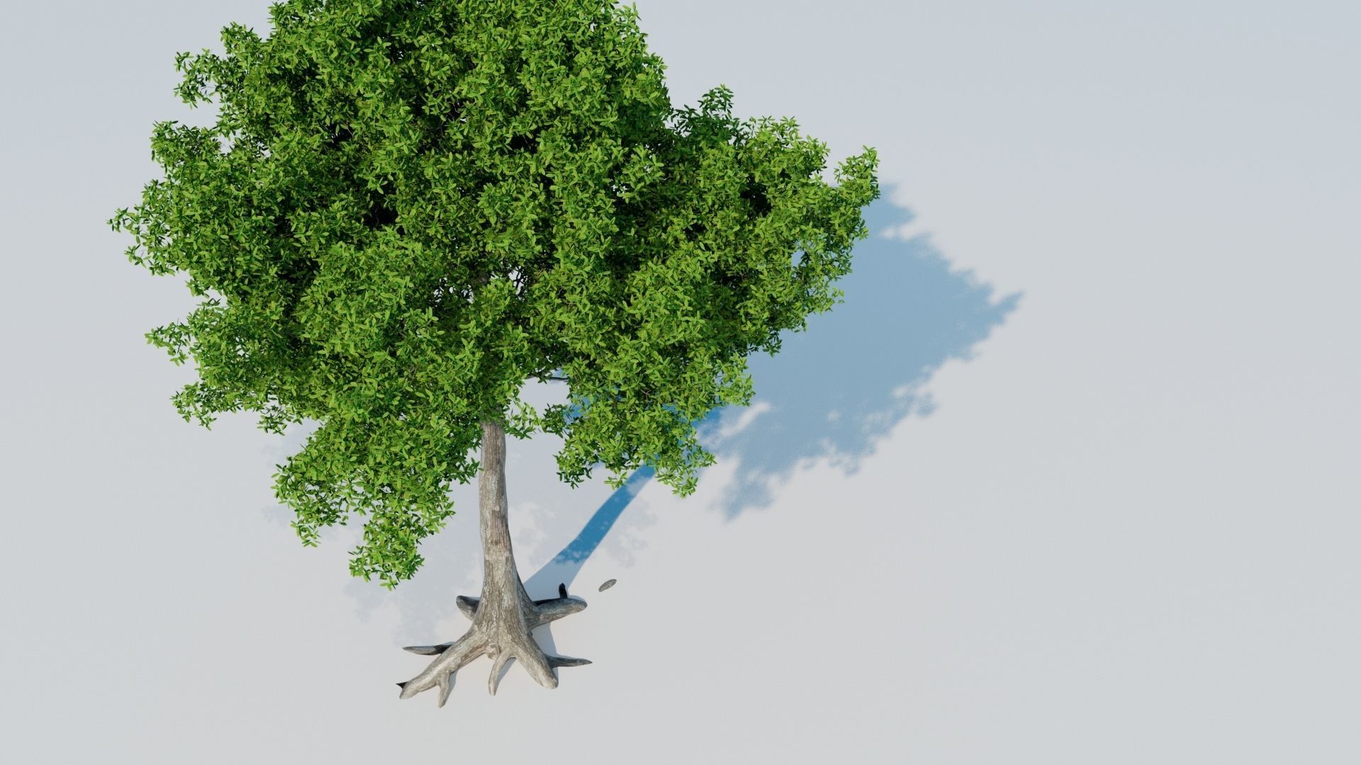 Tree 3D model Low-poly 3D model_1