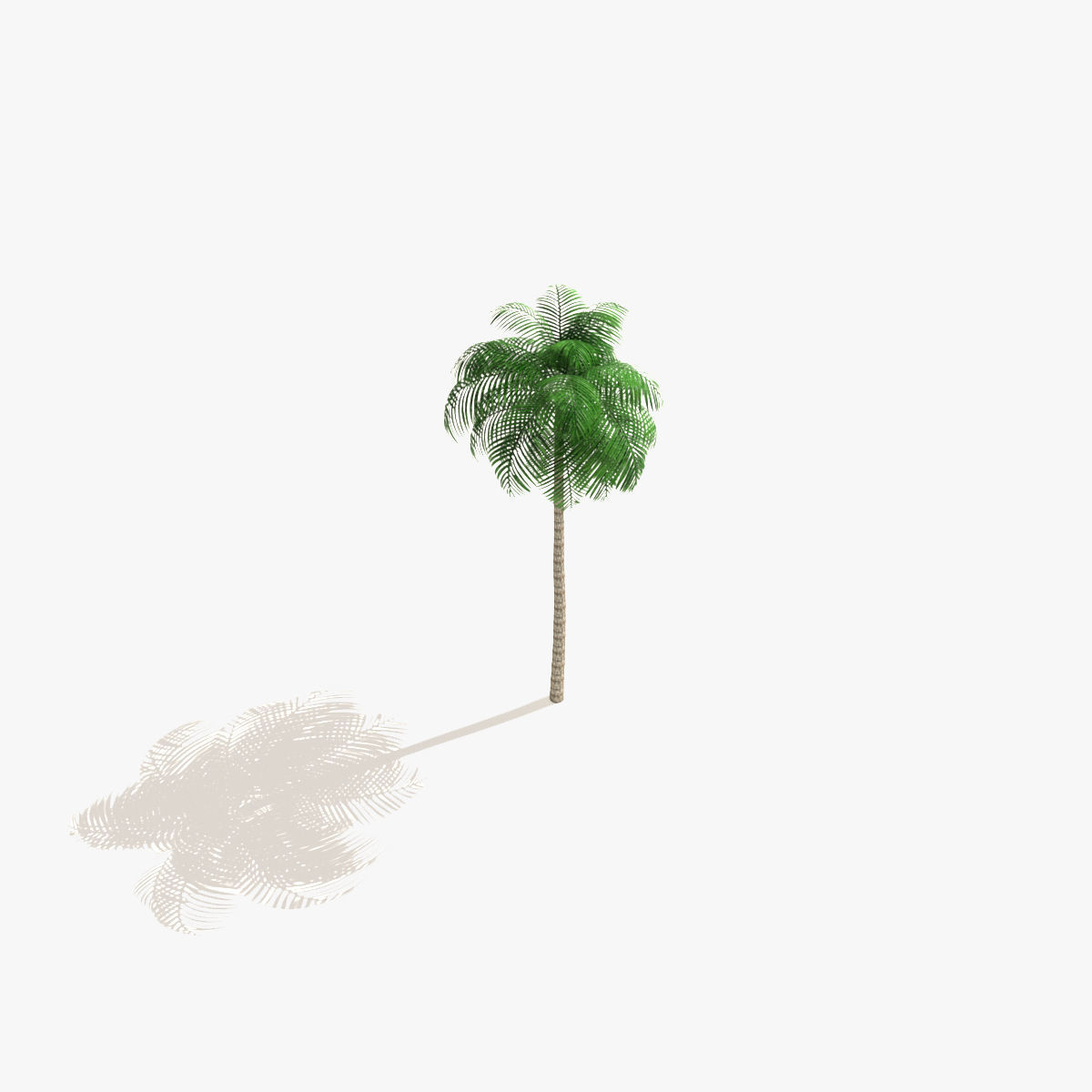 Palm Tree 02 Low Poly Low-poly 3D model_5