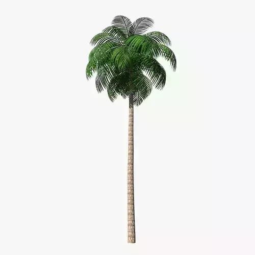 Palm Tree 02 Low Poly Low-poly 3D model