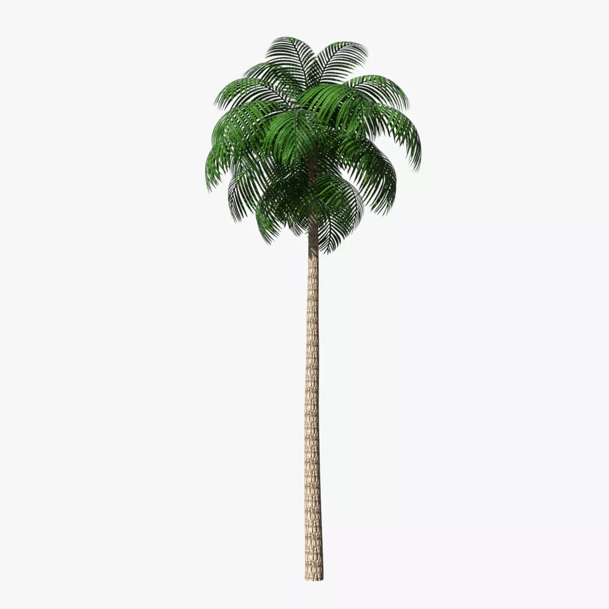 Palm Tree 02 Low Poly Low-poly 3D model_0