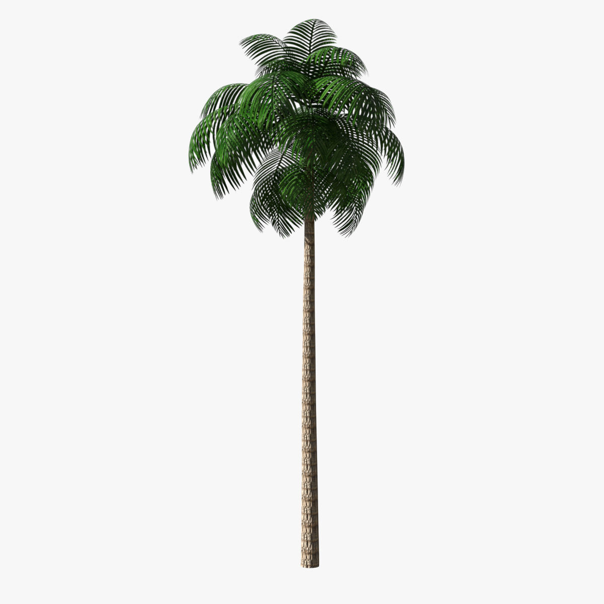 Palm Tree 02 Low Poly Low-poly 3D model_4