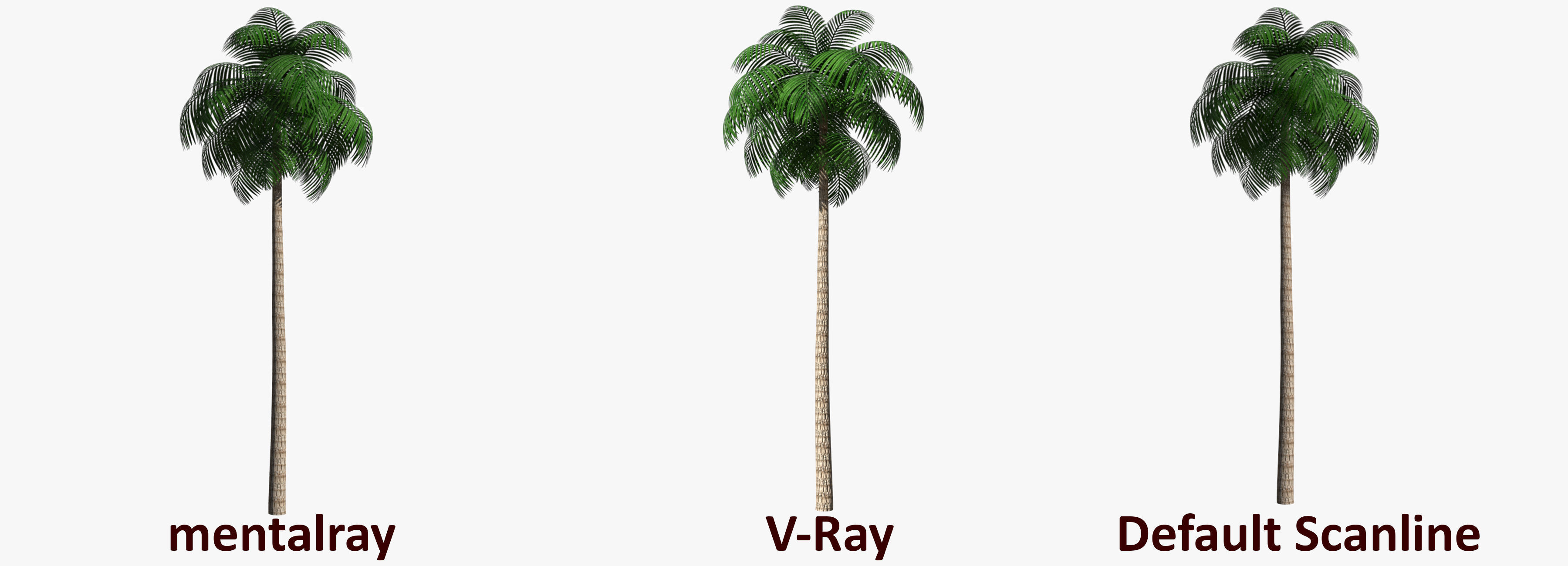Palm Tree 02 Low Poly Low-poly 3D model_1