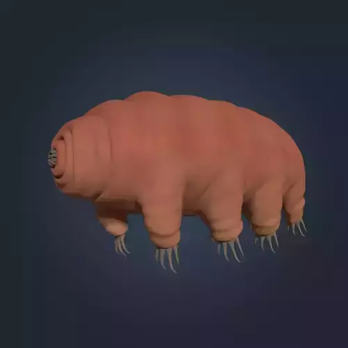 Tardigrade  Low-poly 3D model