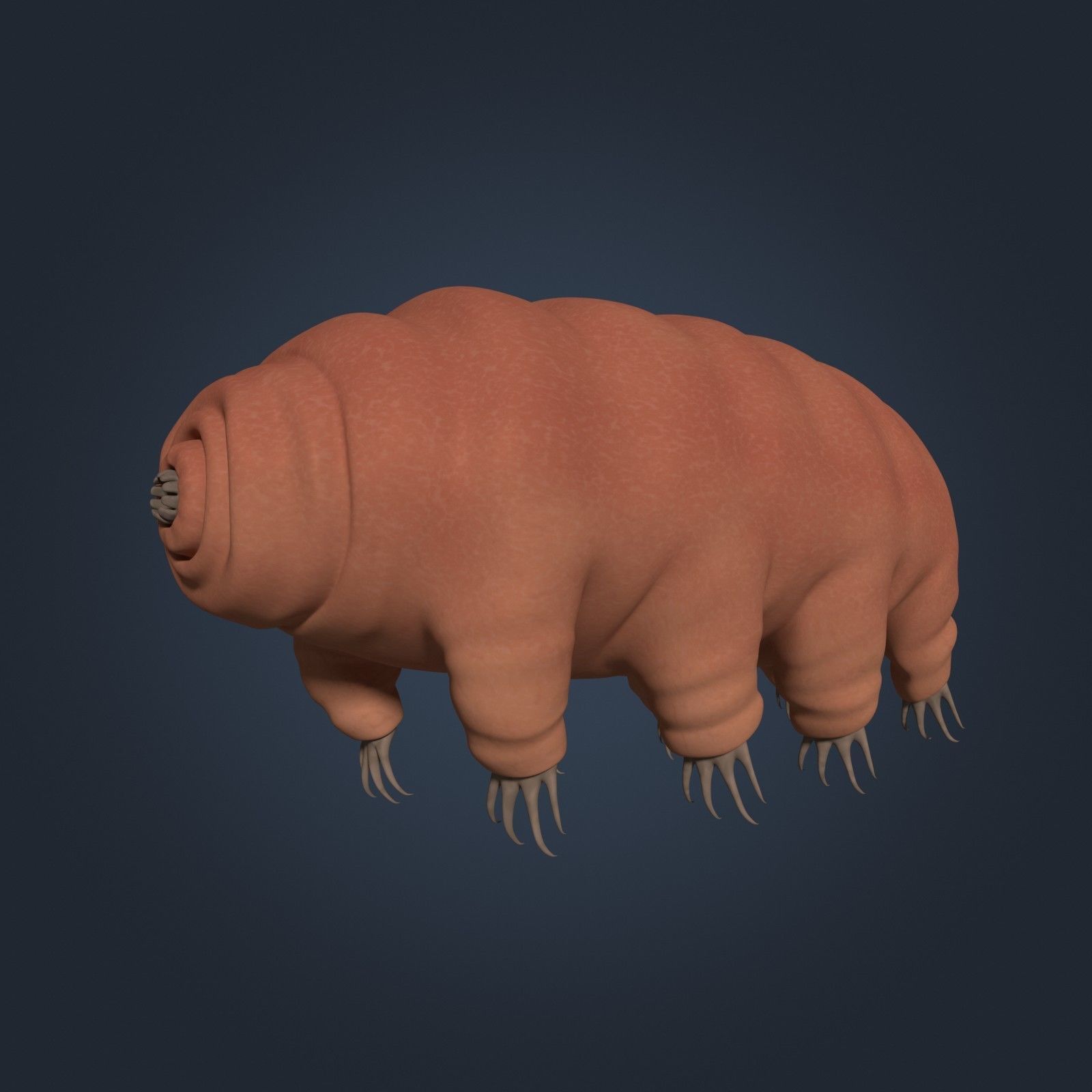 Tardigrade - Microscopic Water Bear