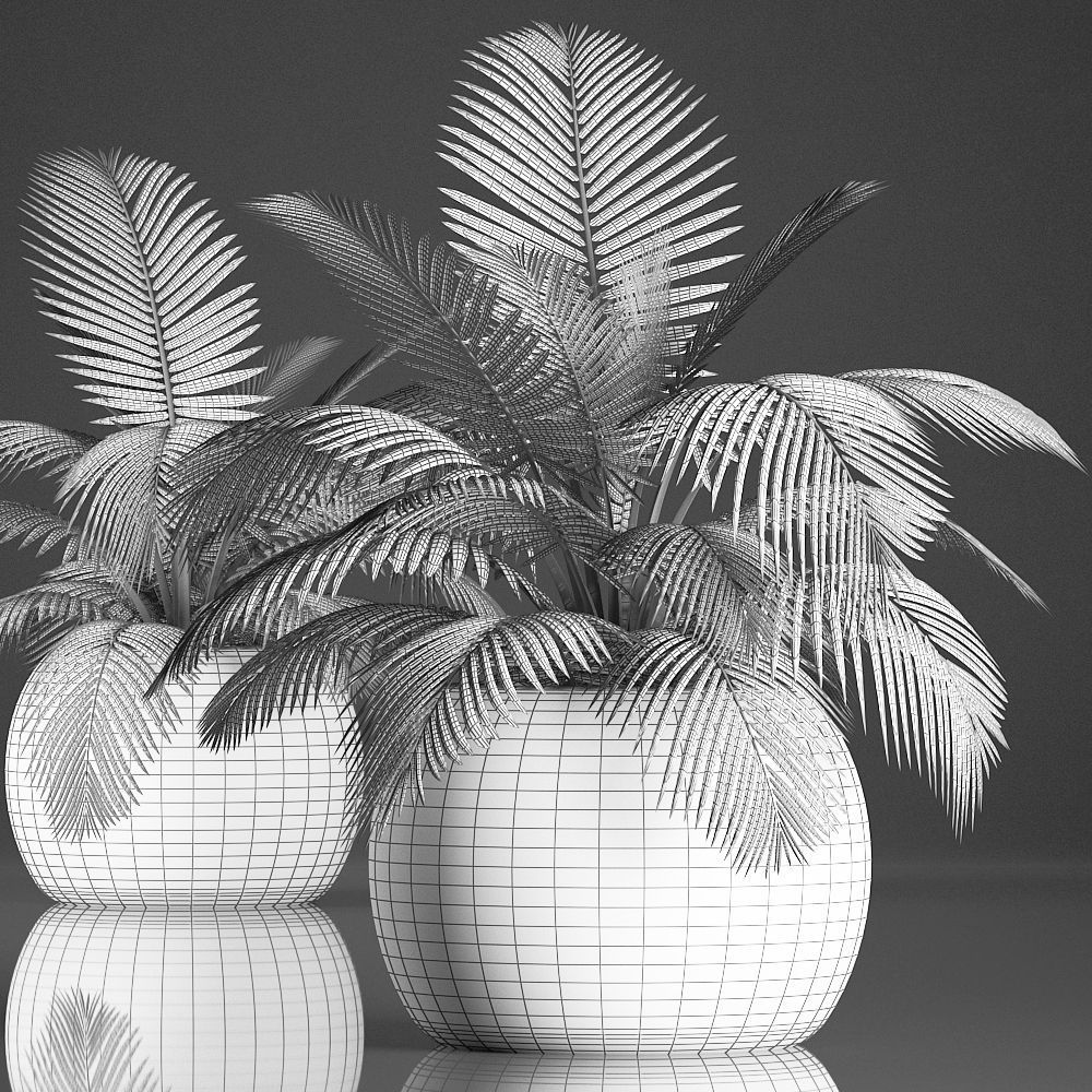 Decorative palm tree in the basket 3D model_7
