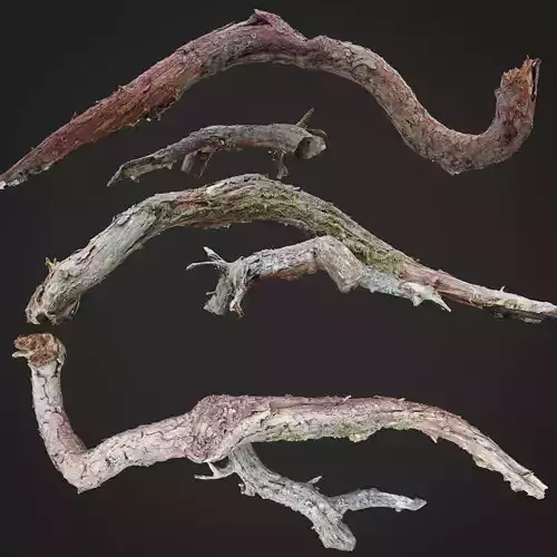 Dead twisted tree 3d scan 5