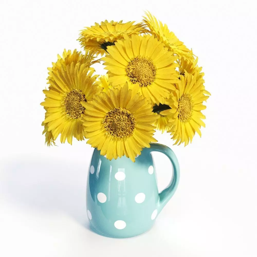 Gerbera Daisies 3D model_0