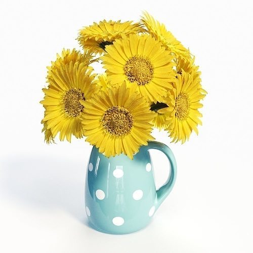 Gerbera Daisies 3D model