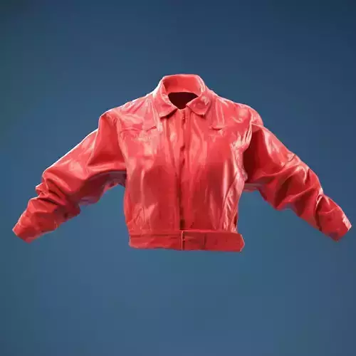 Vintage Jeans Jacket