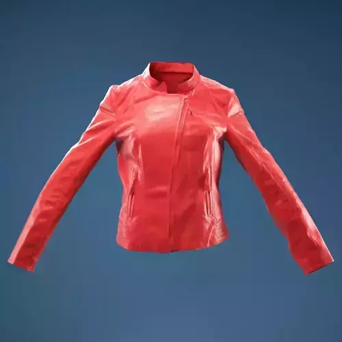 Shiny Jacket Closed 3D model