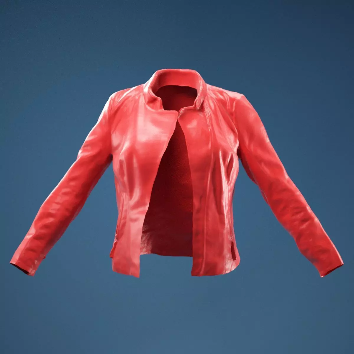 Shiny Jacket 3D model