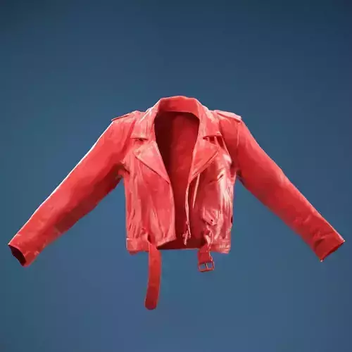 Moto Leather Jacket open