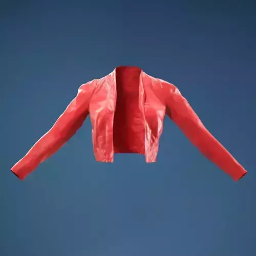 Minimalist Jacket