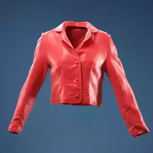 Mini Jacket Red Decoration