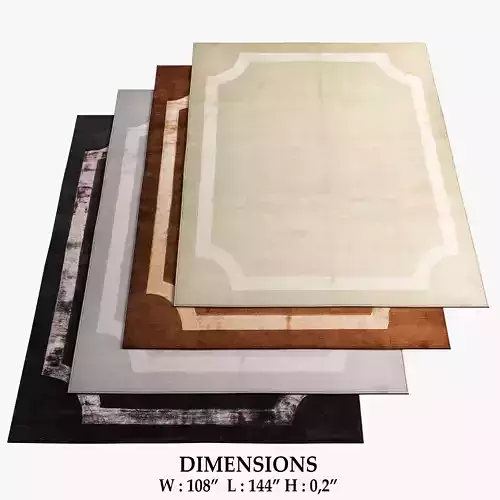 Amini Rugs 373 3D model