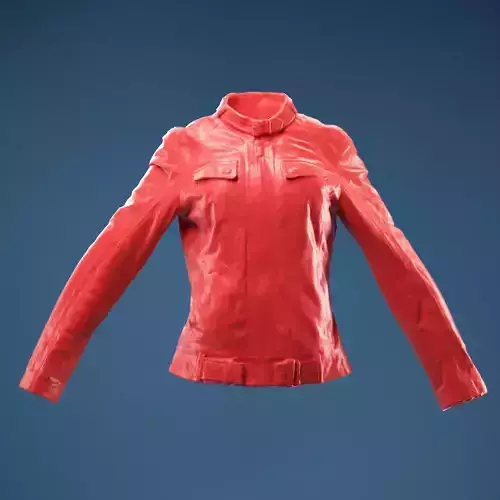 Leather Jacket Closed