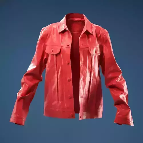 Jacket leather on mannequin