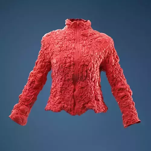 Intricate Decorated Jacket