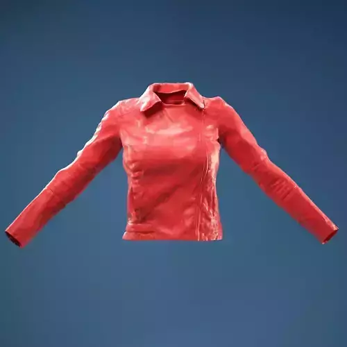 Dark Brown Leather Jacket Closed 3D model