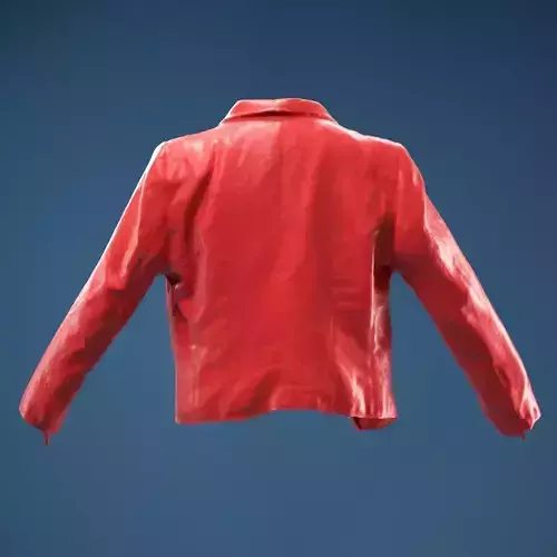 Classy Vest 3D model