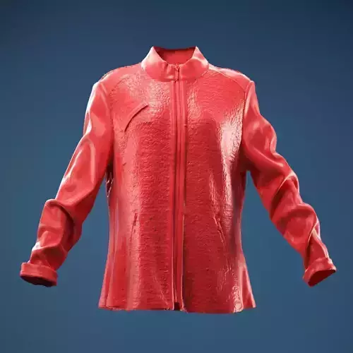 Blue Decorated Jacket 3D model