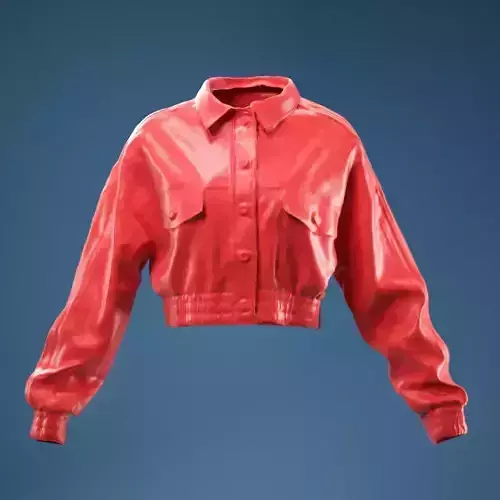2 Stripe Jacket Leather Closed 3D model