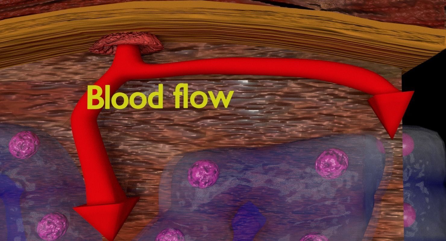 Adrenal gland gross microscopic 3D model_31