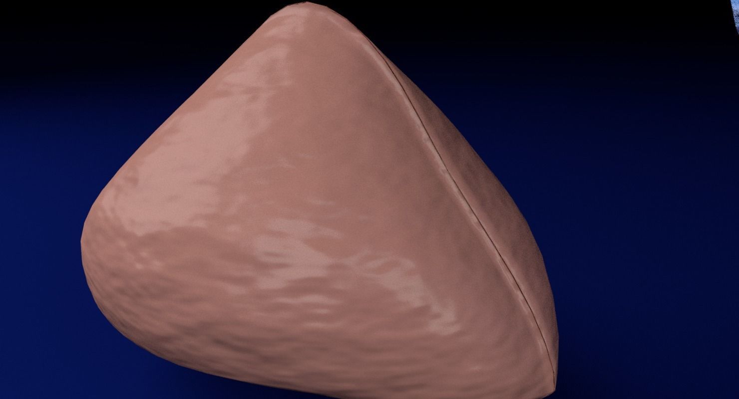Adrenal gland gross microscopic 3D model_20