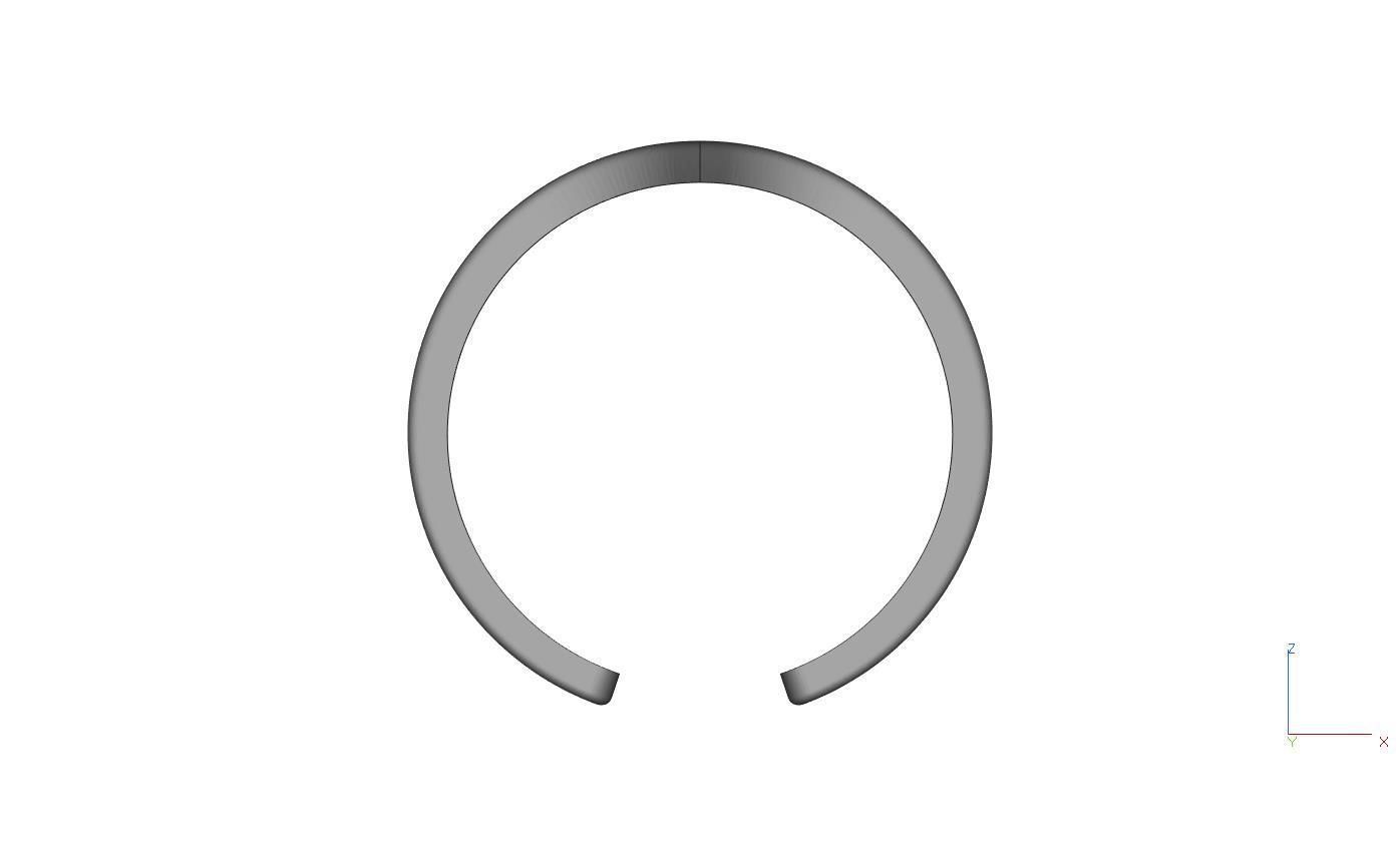 Falang ring 3D print model_5