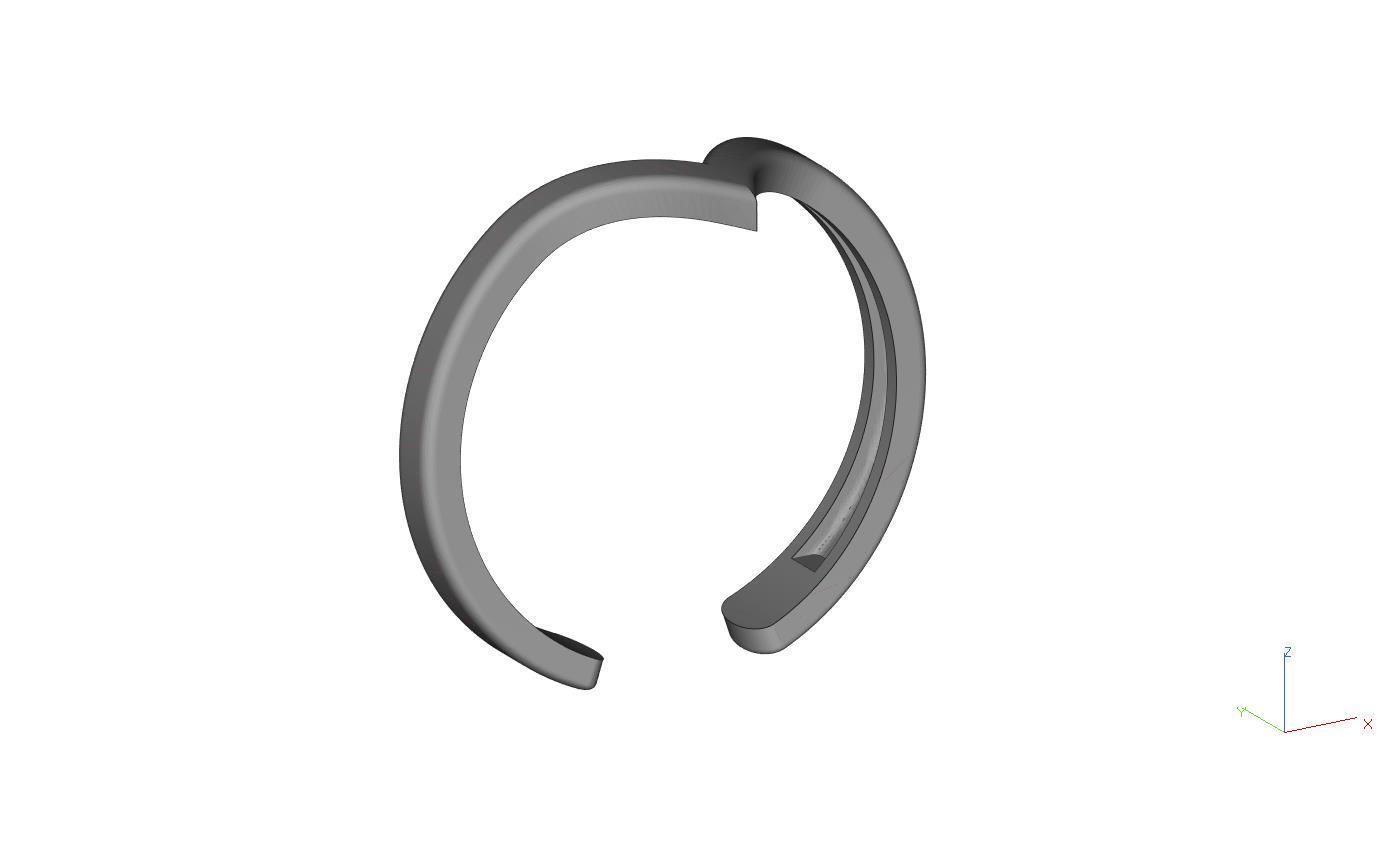 Falang ring 3D print model_6
