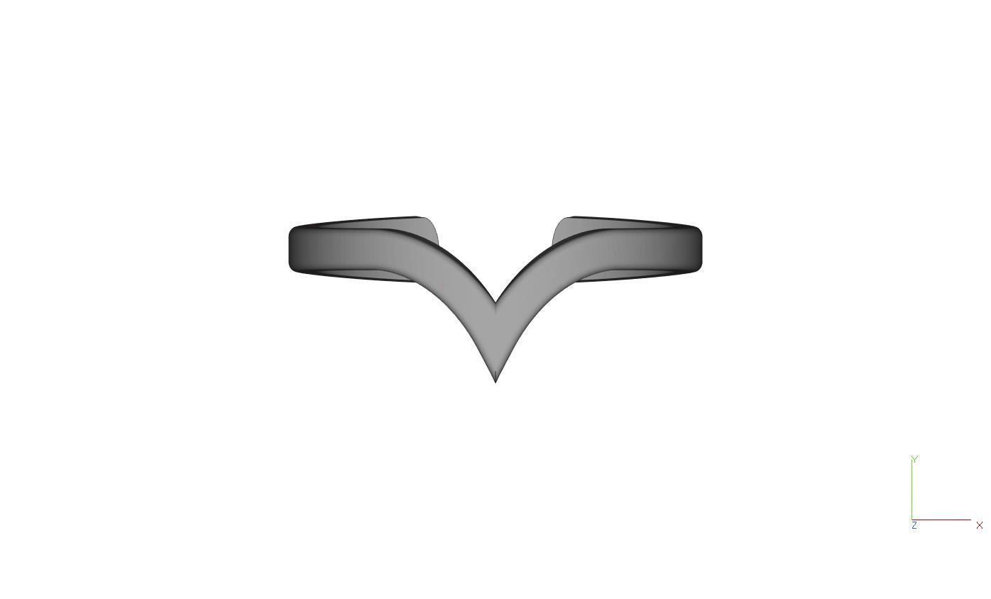 Falang ring 3D print model_4