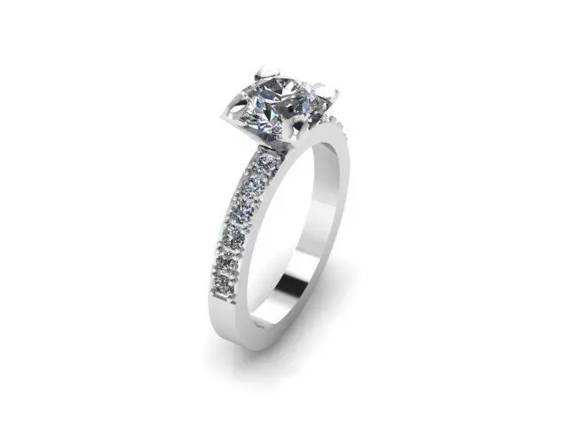 Round Center Ring 3D print model_0