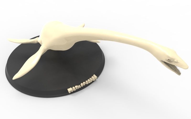 Elasmosaurus Printable 3D print model_6