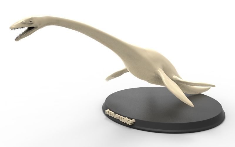 Elasmosaurus Printable 3D print model_2