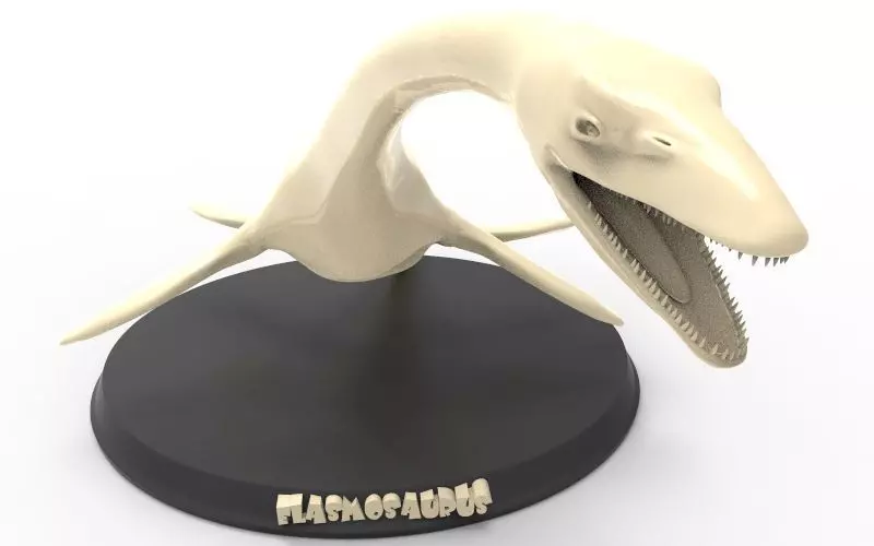 Elasmosaurus Printable 3D print model_0