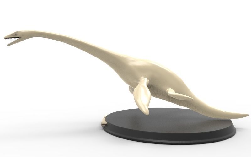 Elasmosaurus Printable 3D print model_3