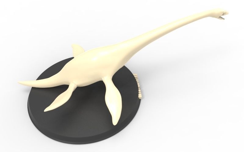 Elasmosaurus Printable 3D print model_5