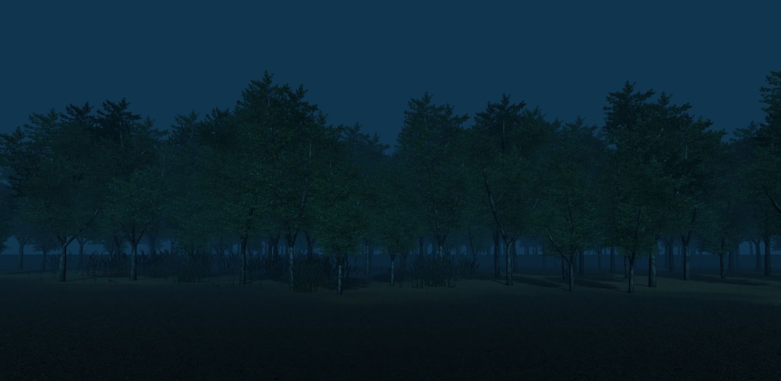 Birch forest pack for Unity Low-poly 3D model_7