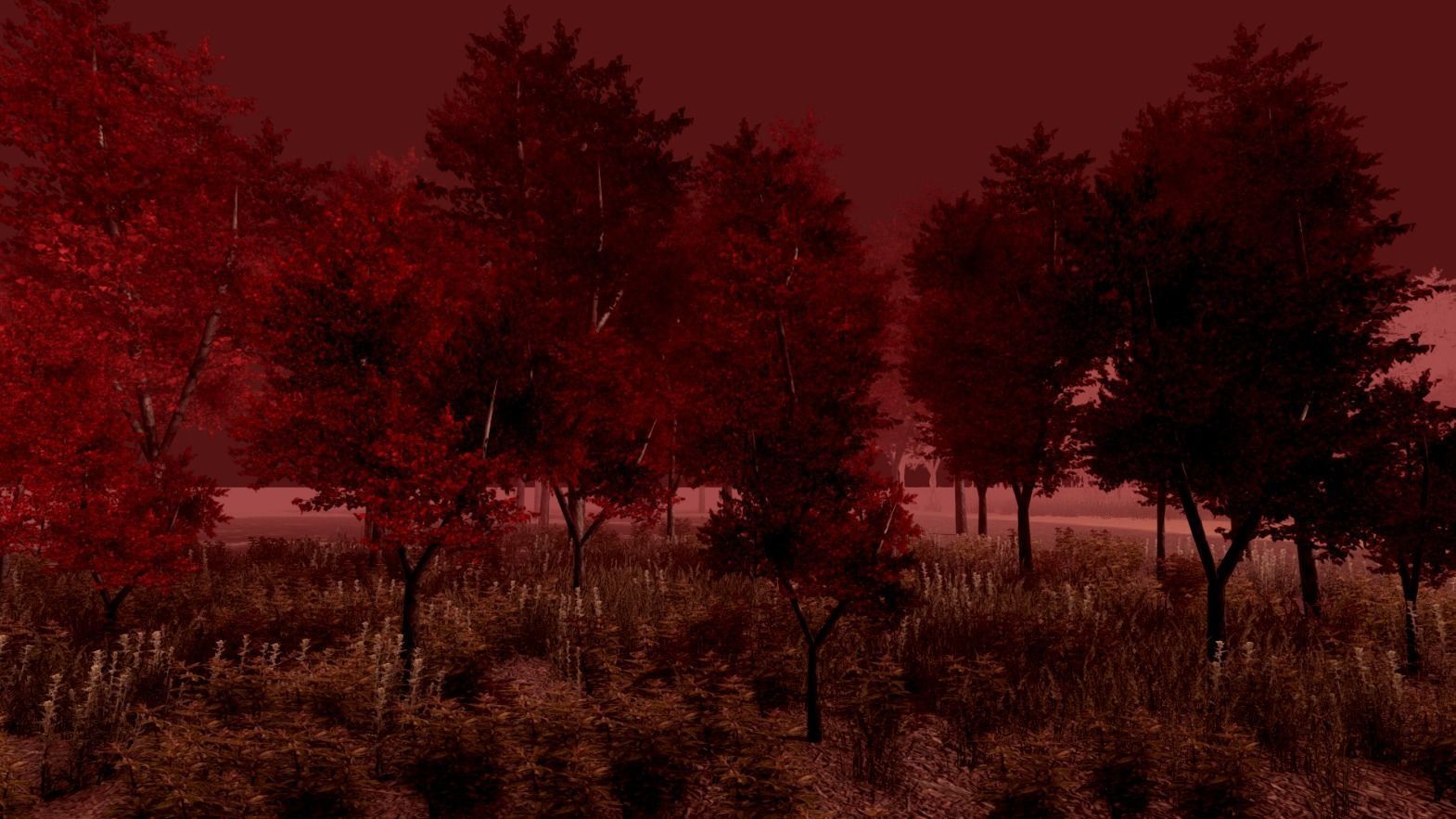 Birch forest pack for Unity Low-poly 3D model_6