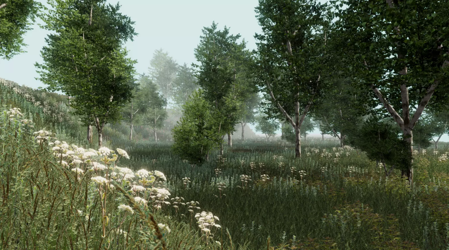 Birch forest pack for Unity Low-poly 3D model_0