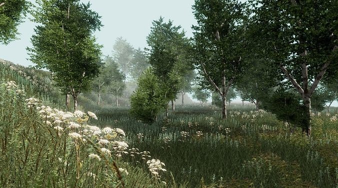 Birch forest pack for Unity Low-poly 3D model